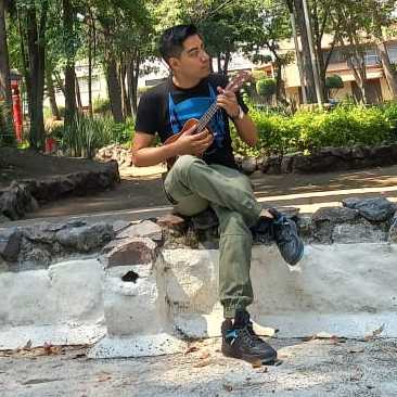 Luis / Musician