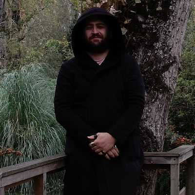 Irakli / Musician