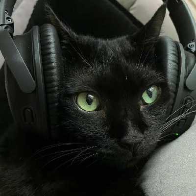 Endy / Musician