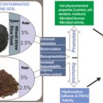 Comparison of Different Models forthe Remediation of Crude Oil Contaminated Clay and Swampy Soil Environment 2 dc208241 feature