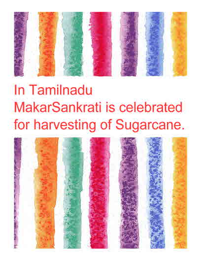 Sankranti in Tamilnadu