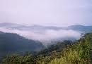 COORG