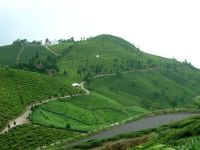 MIRIK HILL STATION