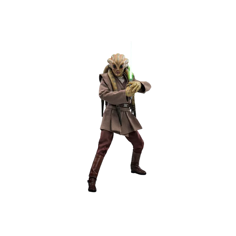 Hot Toys MMS751 Star Wars Episode III La Revenge Des Sith Collectible Action Figurine 1 6 Kit