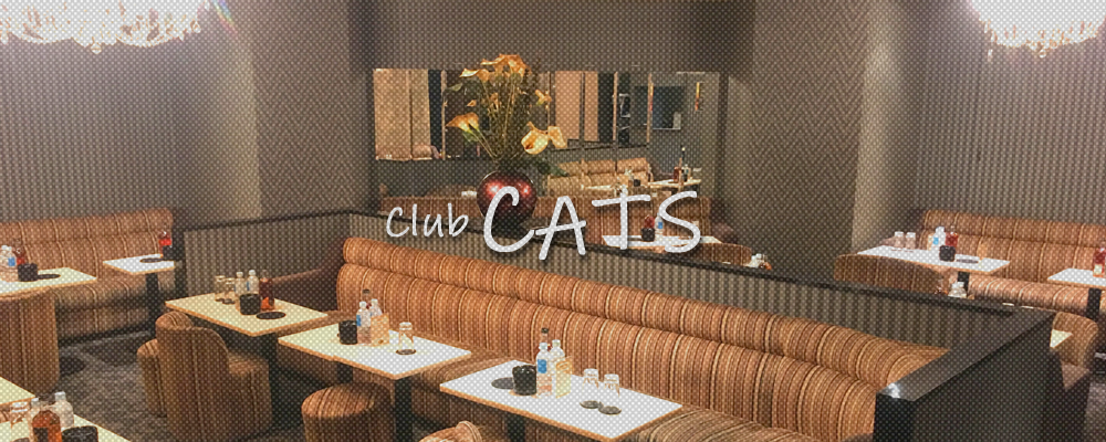 キャッツ【Club CATS】(品川・大井町・大森)のキャバクラ情報詳細