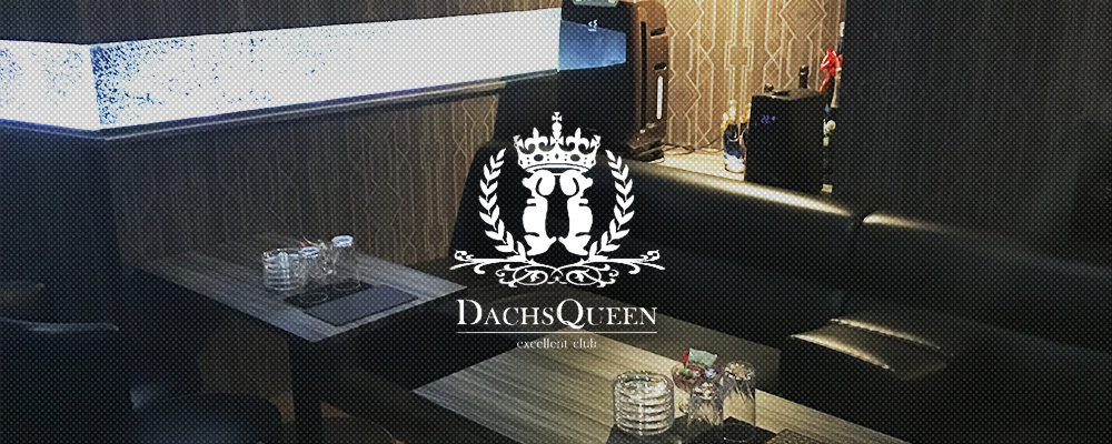 ダックス　クィーン【Dachs Queen】(関内)のキャバクラバイト情報詳細