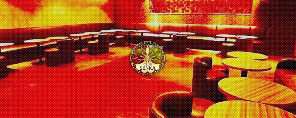 センカ【CLUB SENKA】(千葉)のキャバクラ情報詳細