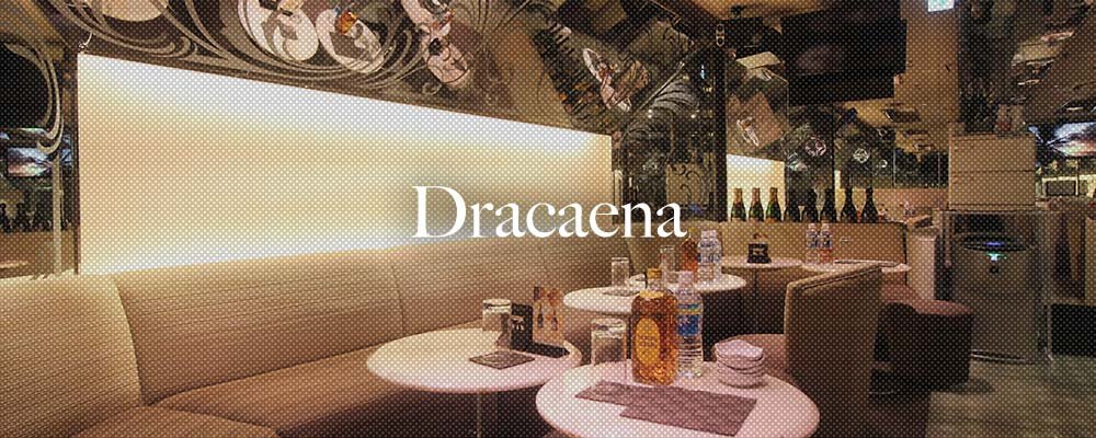 ドラセナ【Dracaena】(赤坂)のキャバクラ情報詳細