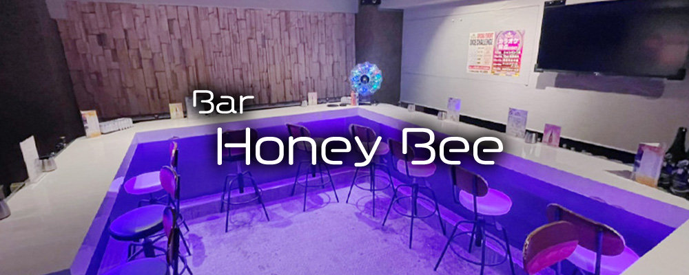 ハニービー【Honey Bee】(新橋)のキャバクラ情報詳細