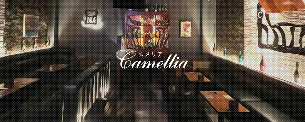 カメリア【club camellia】(上大岡・戸塚)のキャバクラ情報詳細