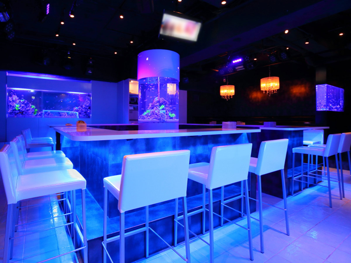 【KARAOKE & Girls Bar MEDUSA】(Roppongi,Nishiazabu)'s photo