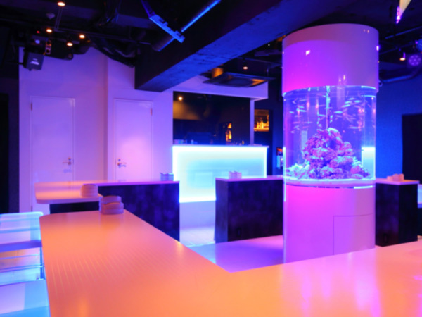 【KARAOKE & Girls Bar MEDUSA】(Roppongi,Nishiazabu)'s photo