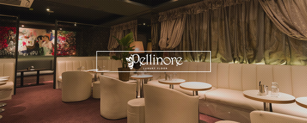 ペリノア【LUXURY FLOOR Pellinore】(東陽町・門前仲町)のキャバクラ情報詳細