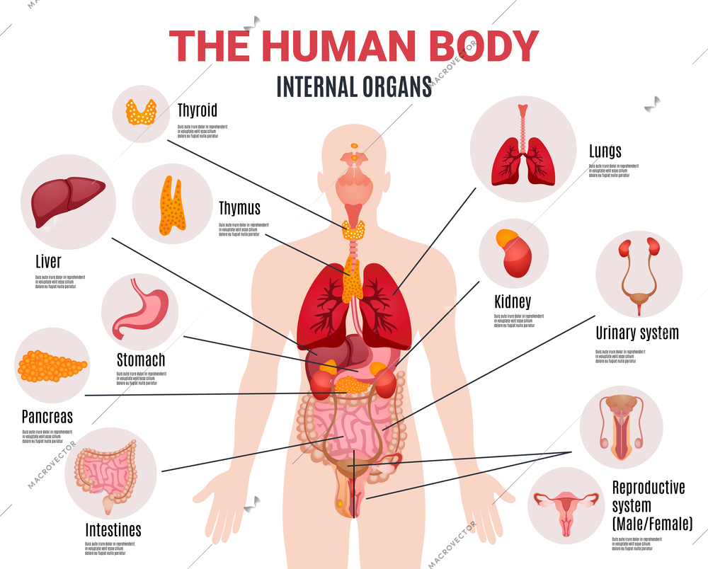 Abnormal sex organ at birth