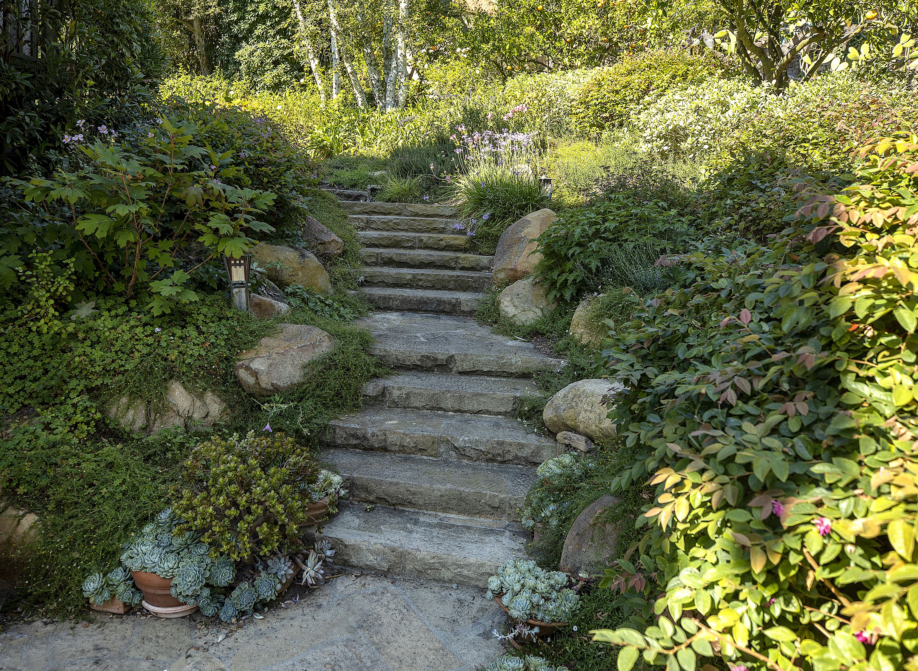 backyard steps