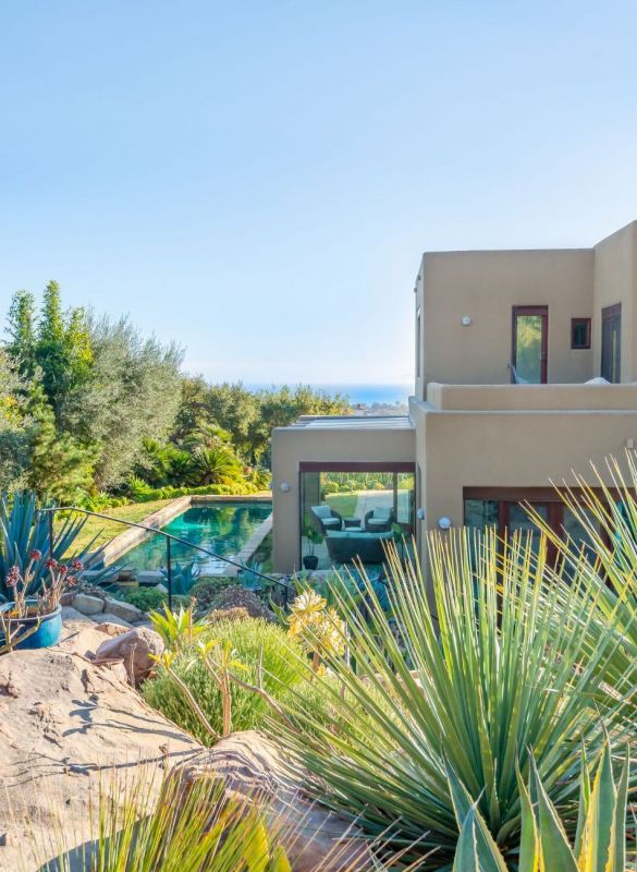 vegetation overlooking pool