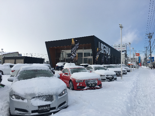 雪が降りました！！02