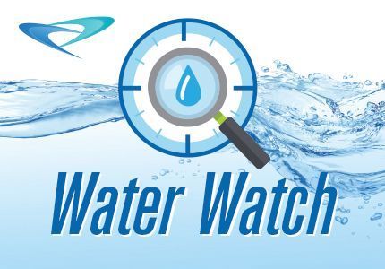 Monitor Your Water Usage Online