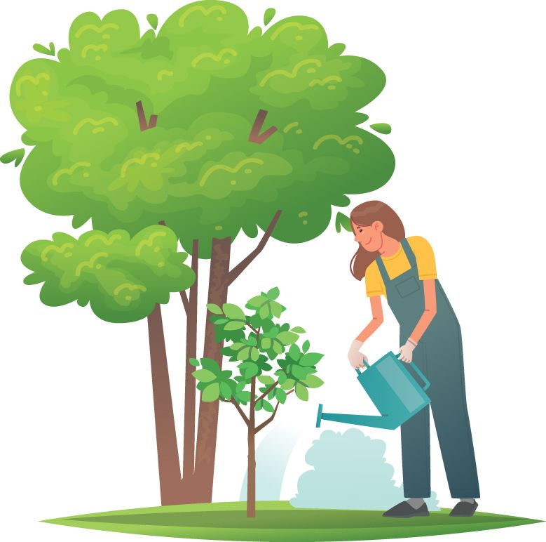 Illustration of a woman watering a tree with care