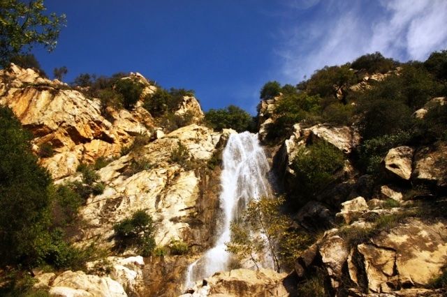 Tangerine Falls cascading between yellow rock faces bordered in green vegetation.