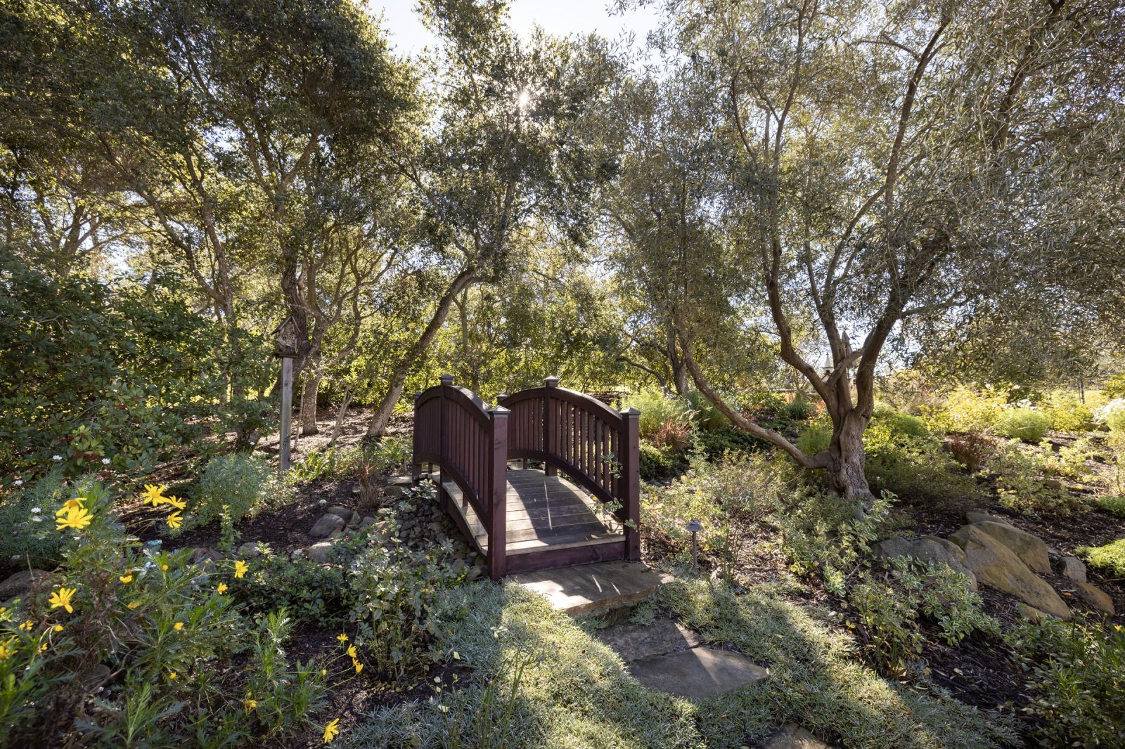 A little wooden footbridge over a creek amongst trees and shrubbery.