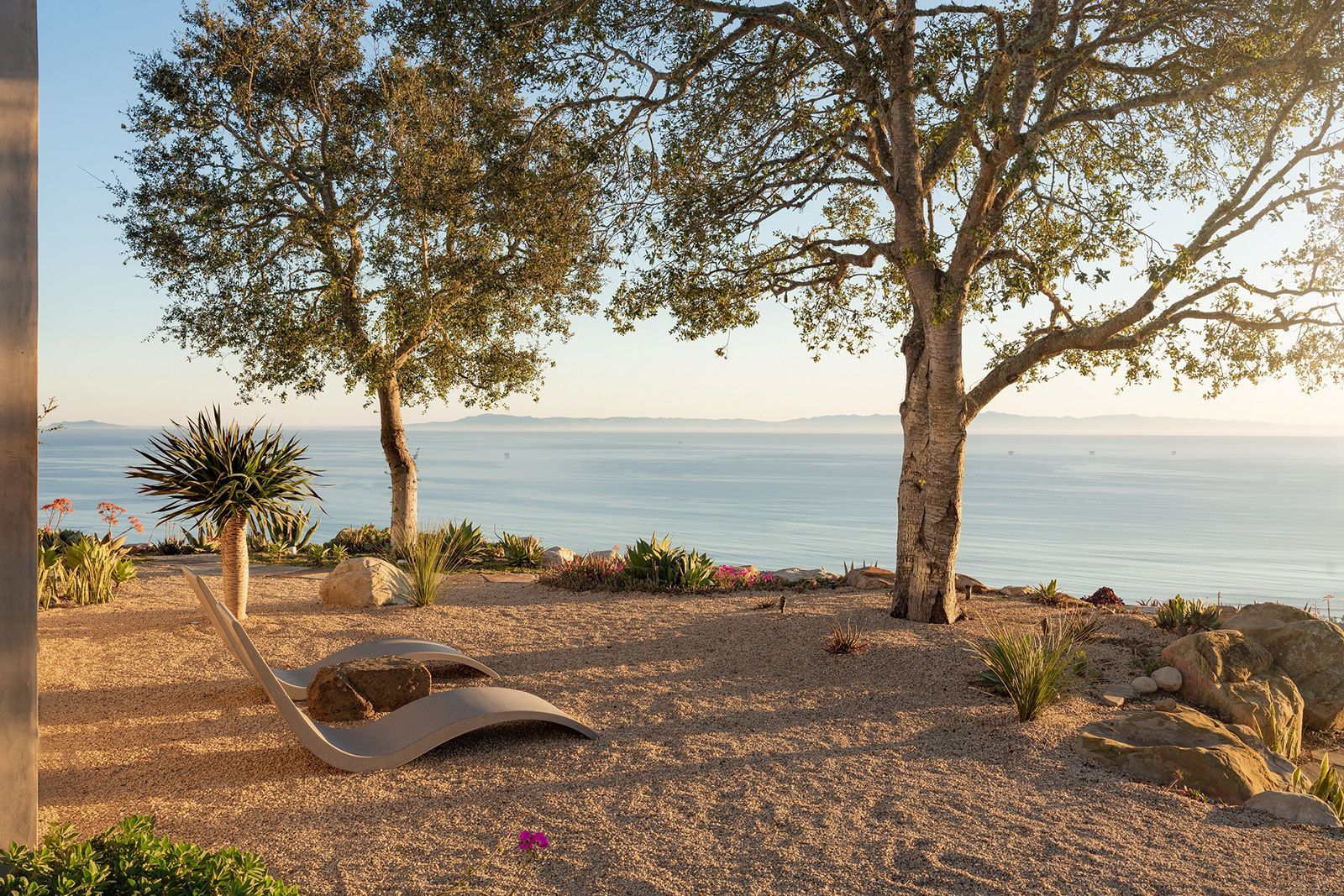 Two lounge chairs with a pair of tall trees on a bluff overlooking the ocean