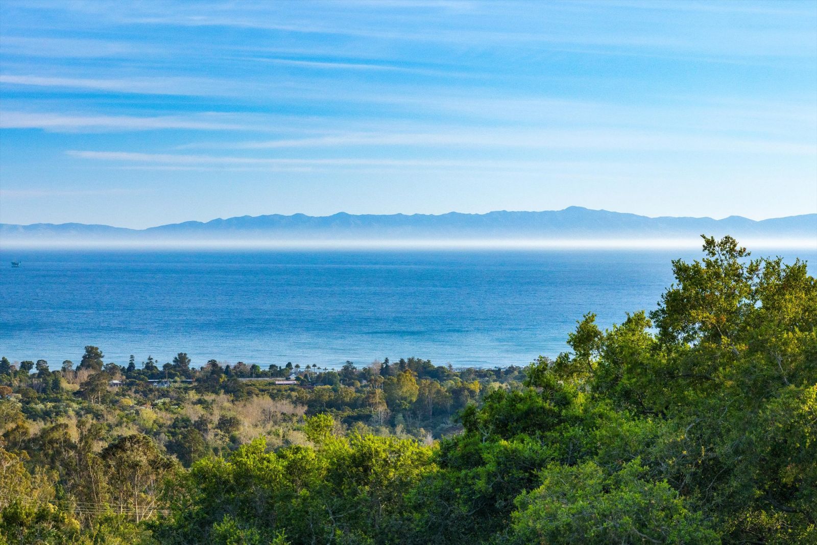 A view of the Pacific Ocean, with the Channel Islands in the distance and green foliage in the foreground.