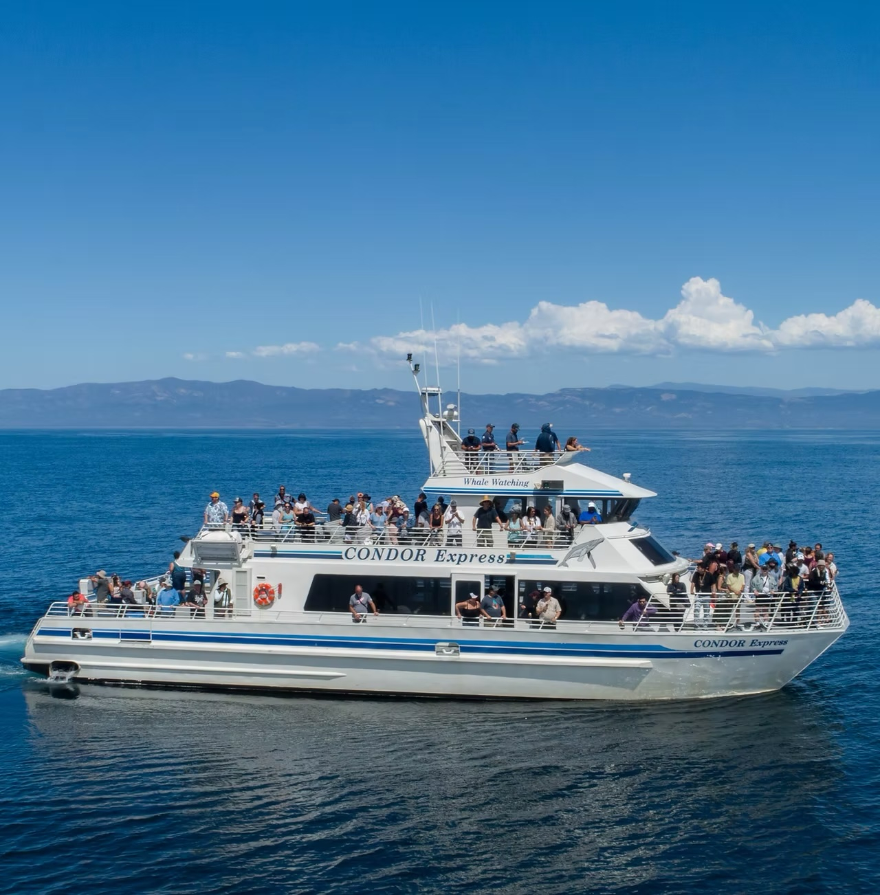 Lots of people aboard the Condor Express whale watching boat heading out for a whale watching adventure.