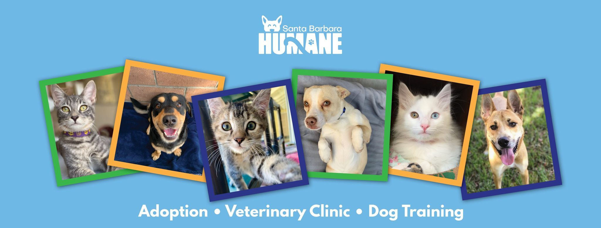 A postcard from Santa Barbara Humane showcasing some dogs and cats up for adoption.