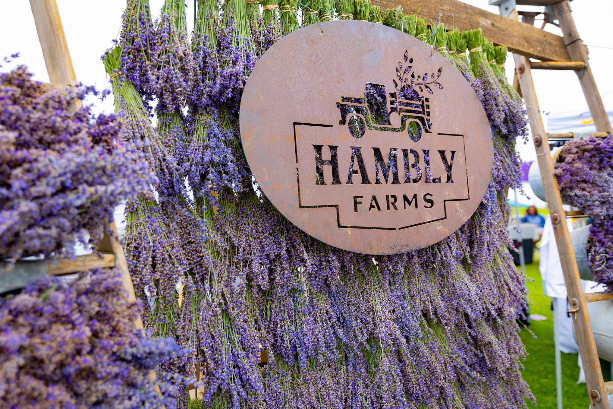 Hanging lavendar on a vertical rack, with an oval sign reading 'Hambly Farms' hanging in front of it.
