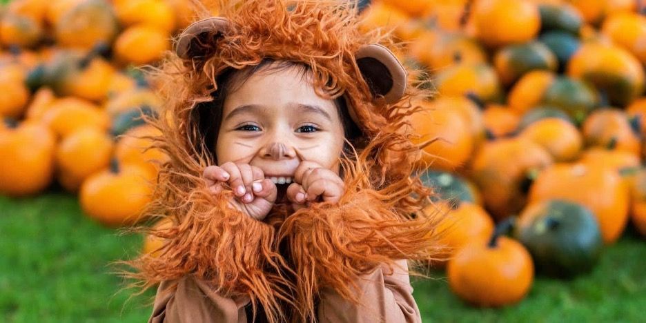 A child in a lion Halloween costume with pumpkins behind him