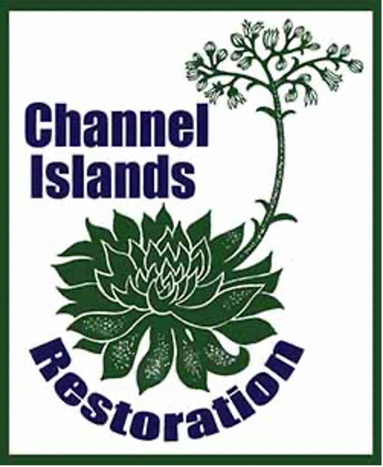 Logo for Channel Islands Restoration, with a plant and flower