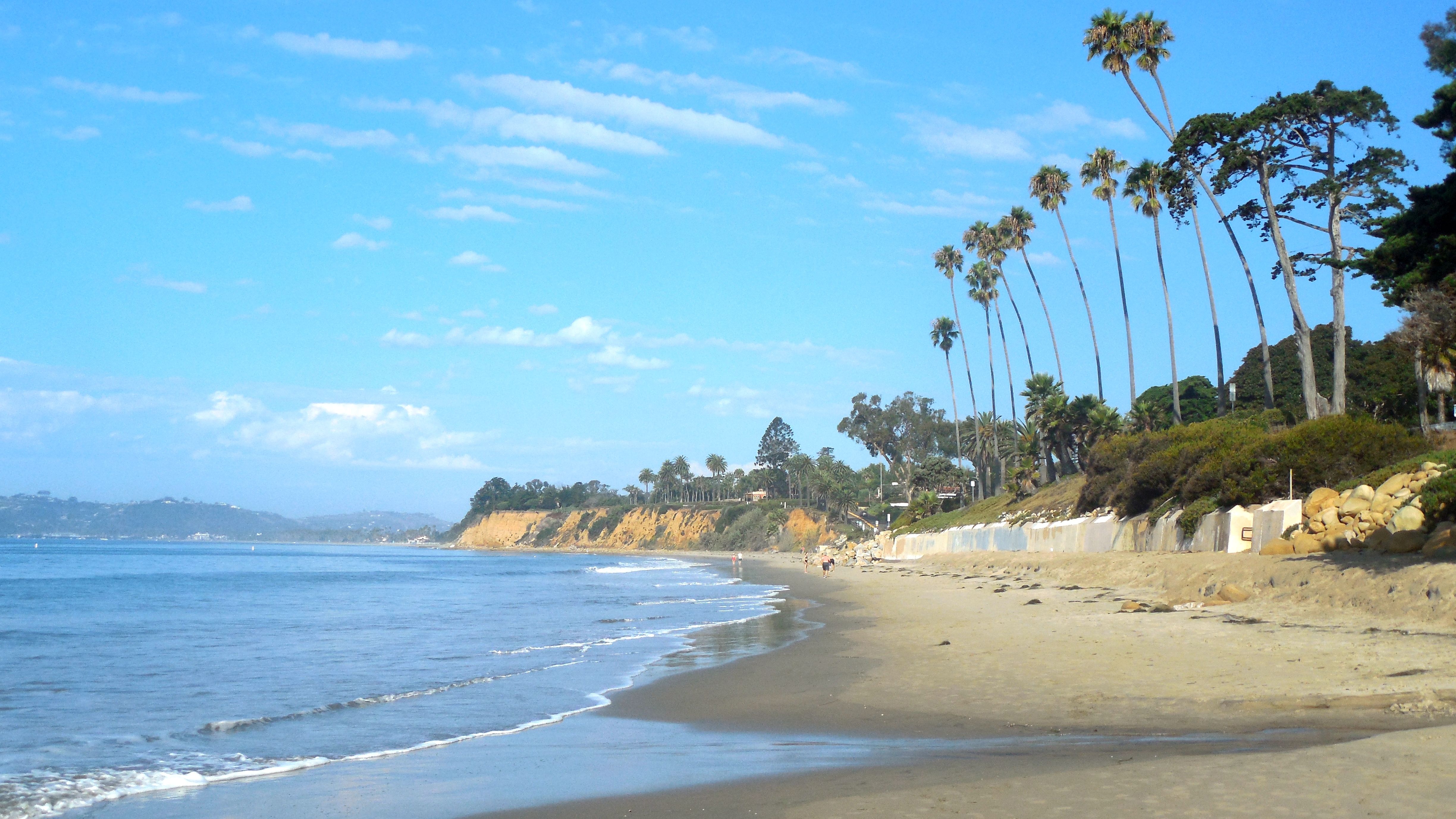 The sand and ocean at Butterfly Beach in Montecito, with palm trees and blue sky