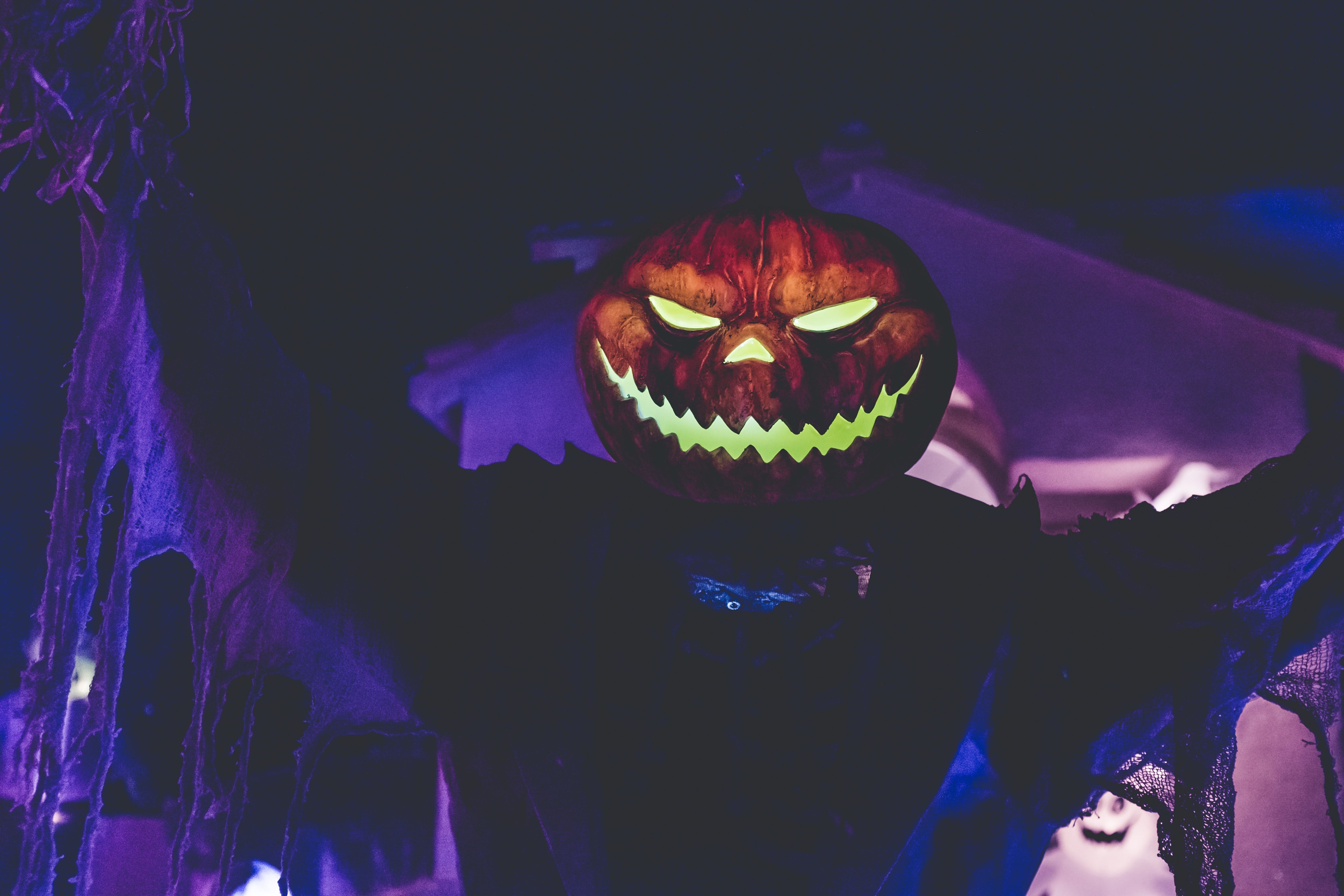 Spooky photo of man wearing pumpkin mask in front of a dark purple curtain