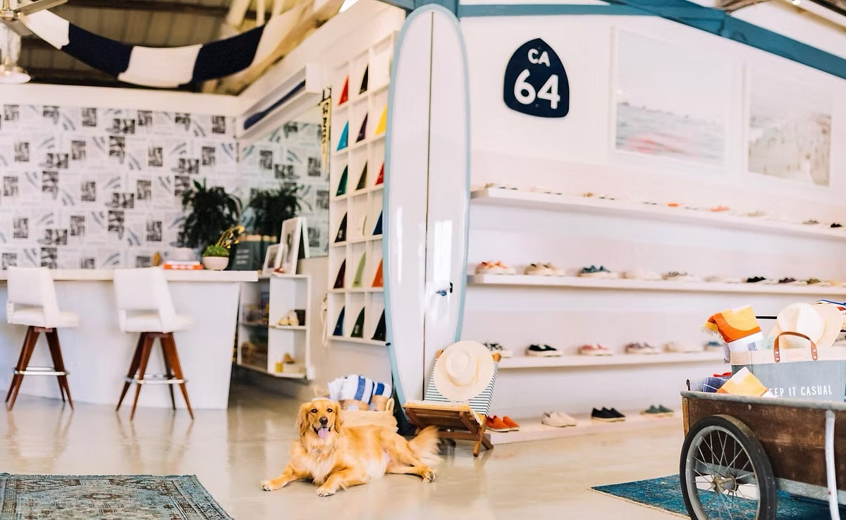 A hip shoe store with a golden retriever.