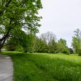 Photograph of Field near Lake.