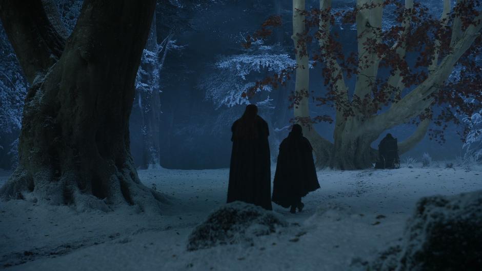 Sansa leads Arya to the heart tree where Bran is sitting.