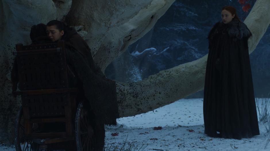 Arya hugs Bran while Sansa stands nearby.