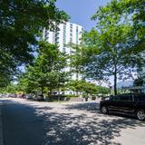 Photograph of Bayshore Drive (between Denman & Menchion).