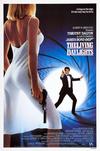 Poster for The Living Daylights.