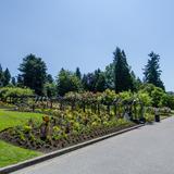 Photograph of Pavilion Rose Garden.