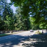 Photograph of Stanley Park Drive (above Lions Gate Bridge).