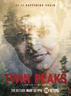 Poster for Twin Peaks.