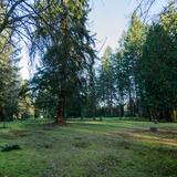 Photograph of North Vancouver Cemetery.