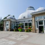 Photograph of Allan Gardens.