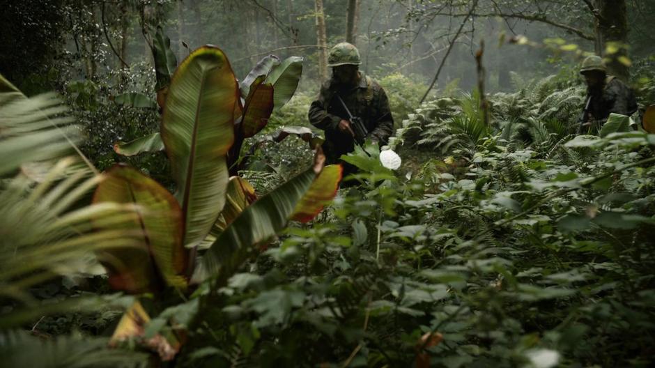 A group of soldiers walk through the jungle on patrol.