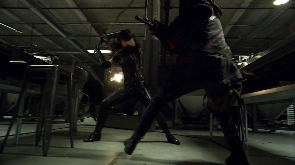 Dinah fights one of the goons in the lab.
