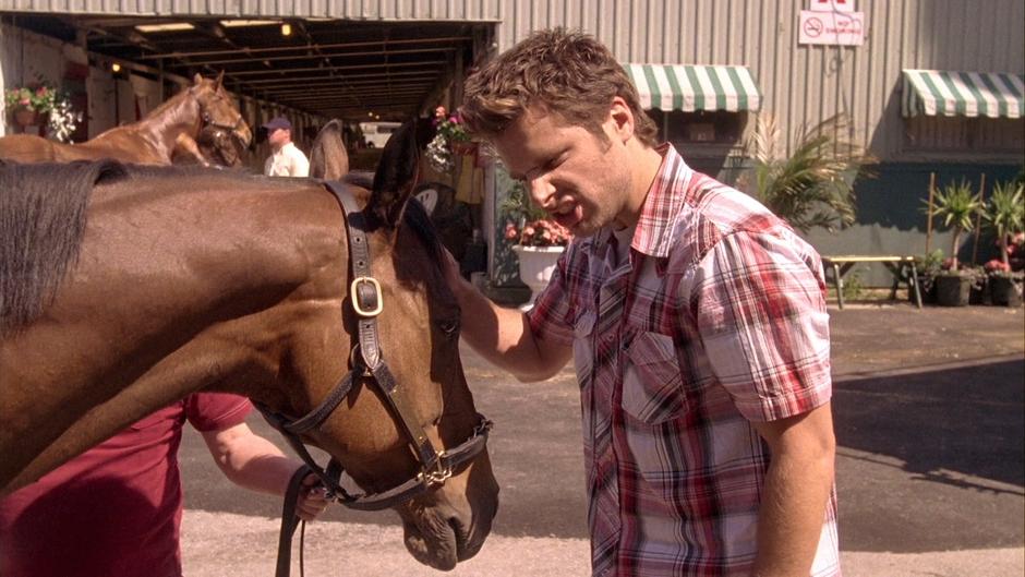 Shawn psychically communicates with Jimmy Nicholas's horse.