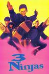 Poster for 3 Ninjas.