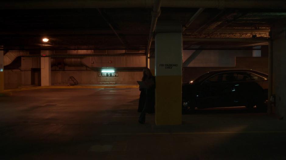 Scully leans against a pillar and reads from a folder containing Reggie's history.